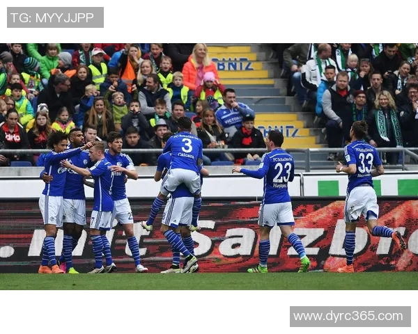 卡迪夫主场迎战莱斯特城期待精彩对决与胜利的争夺战