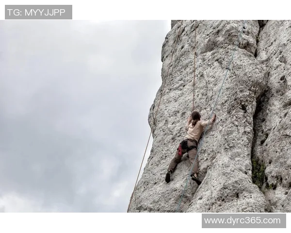 成都攀岩队的逆袭之旅：从初学者到全国冠军的奋斗历程与心路历程MBA