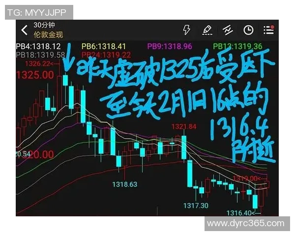 2019年重庆与江苏的精彩对决回顾与分析